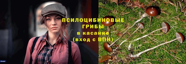 соль курить ск Зерноград