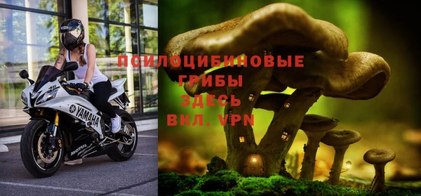 apvp Зеленокумск