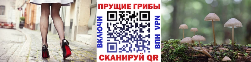 Псилоцибиновые грибы ЛСД  где купить наркоту  мориарти как зайти  Зея 