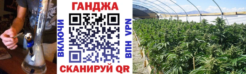 закладка  Зея  Шишки марихуана план 